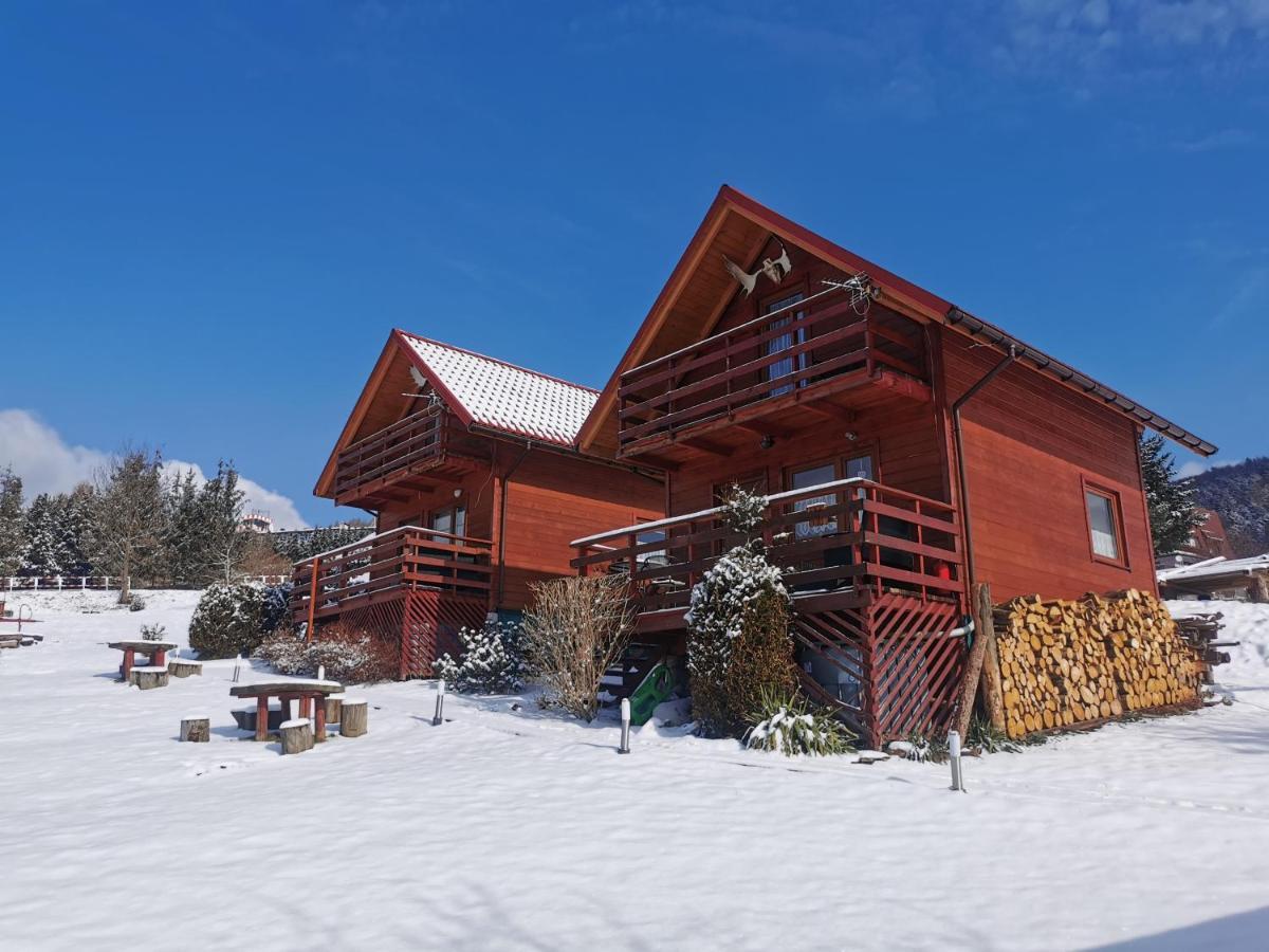 Noclegi Daglezja Pod Gora Zar Miedzybrodzie Zywieckie Exterior foto