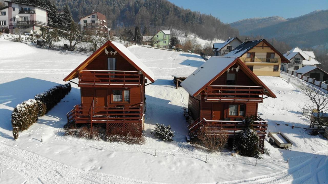 Noclegi Daglezja Pod Gora Zar Miedzybrodzie Zywieckie Exterior foto